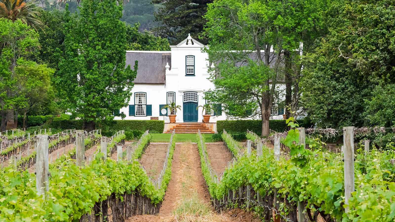 5 Wine Farms Less Than 30 Minutes Away