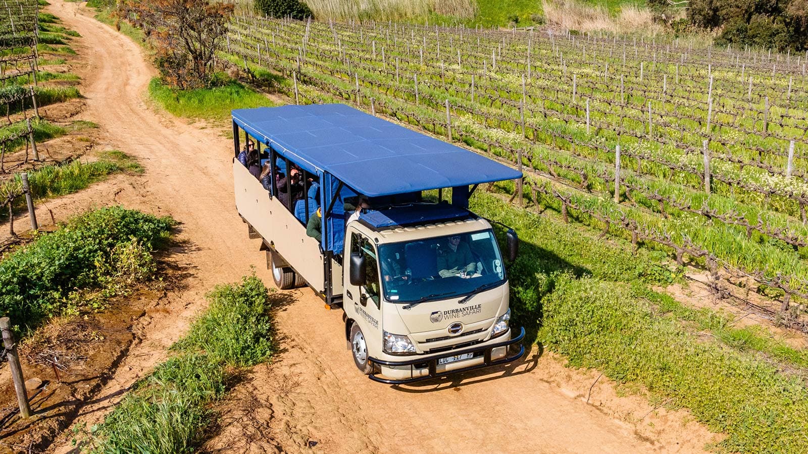 Durbanville Wine Safari