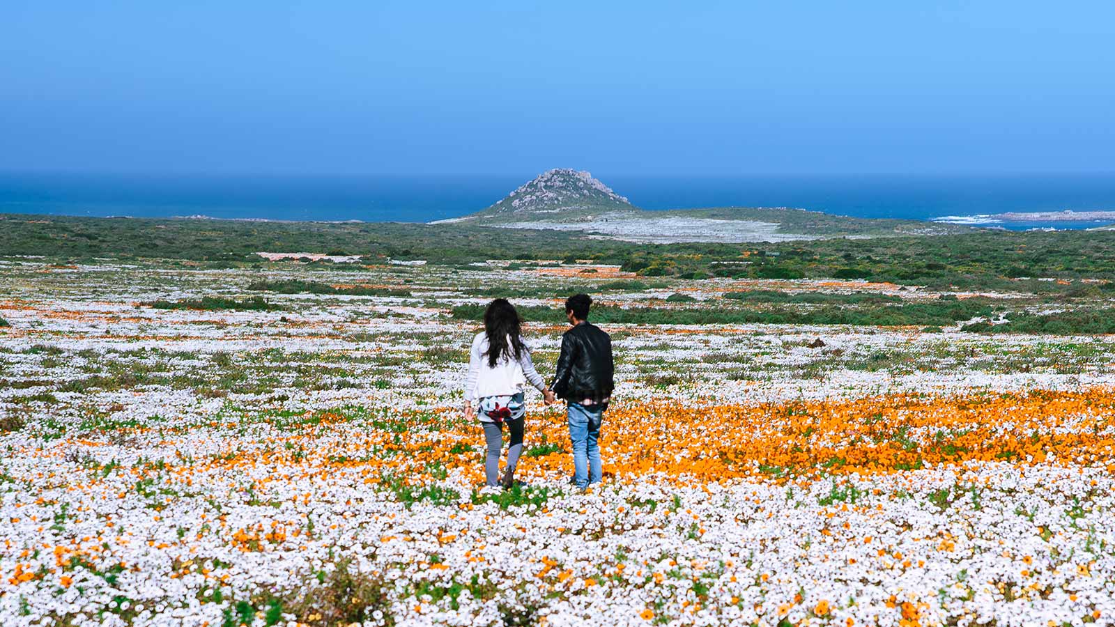 Flower Season at Aquarius Luxury Suites